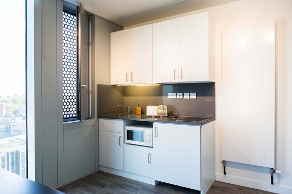 留学生必看：蒙特霍利约克学院One Bedroom Flat学生公寓推荐