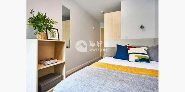 纽卡斯尔租房市场：价格变动与趋势探析