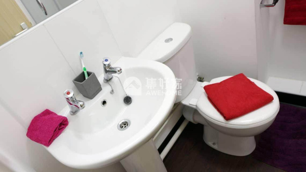 提赛德大学：你值得踏上这片学府的土地