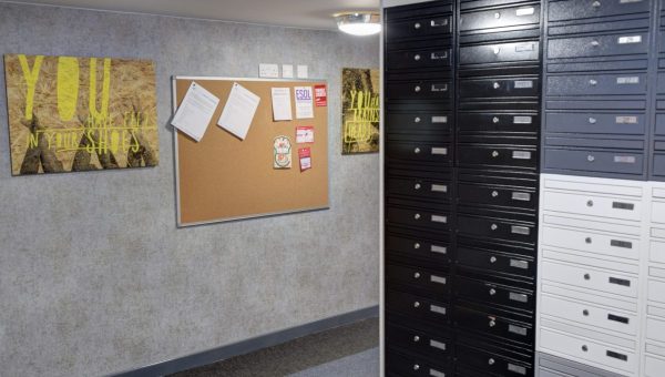 埃塞克斯大学经济学院校区详解