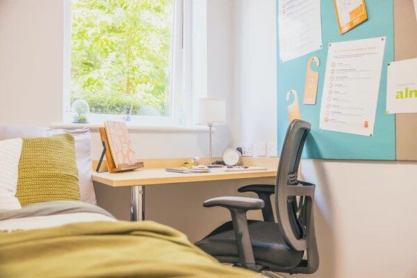 贝尔法斯特大学语言班：开启全新语言之旅