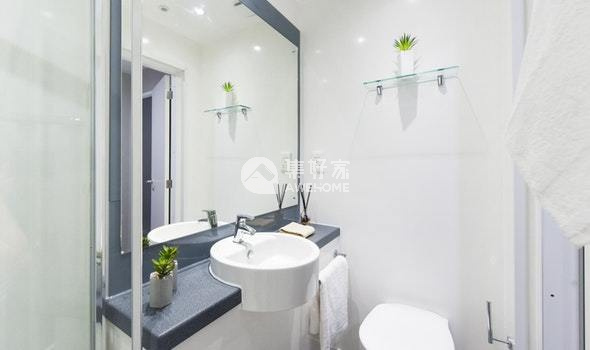 圣安德鲁斯租房