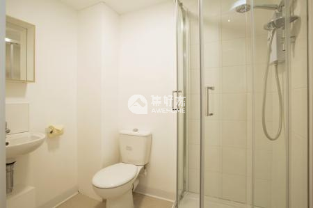 邓迪大学中国学生数量调查