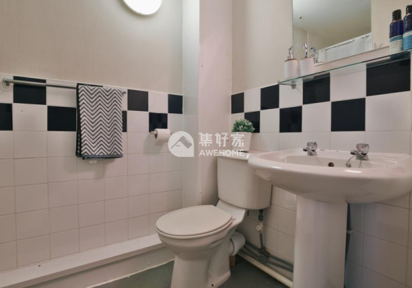 德比大学地址：畅游知识的起点
